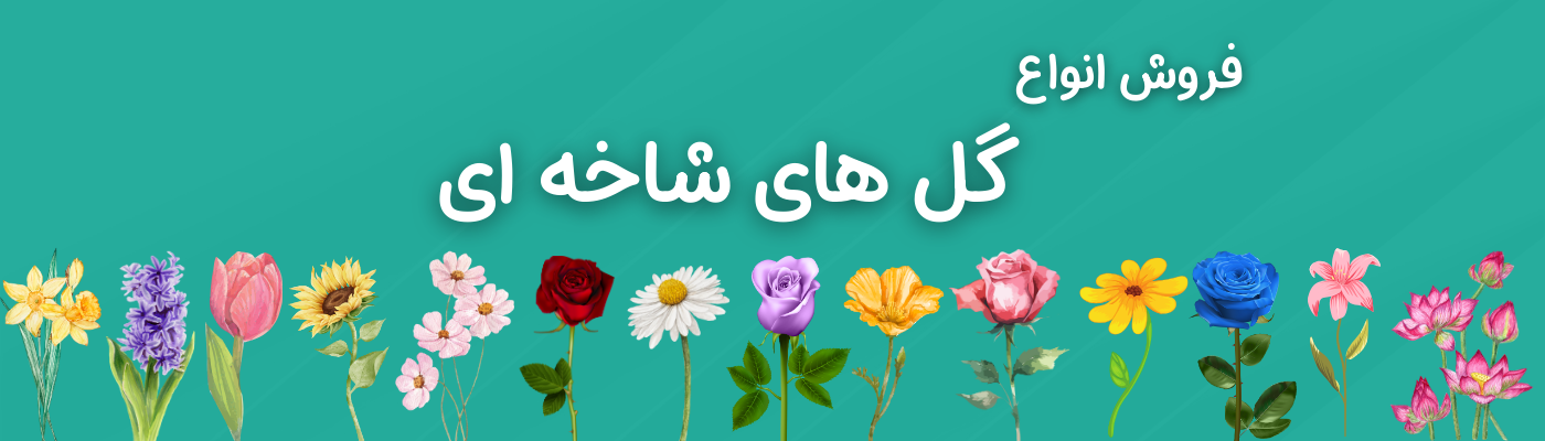 گل های شاخه ای 7